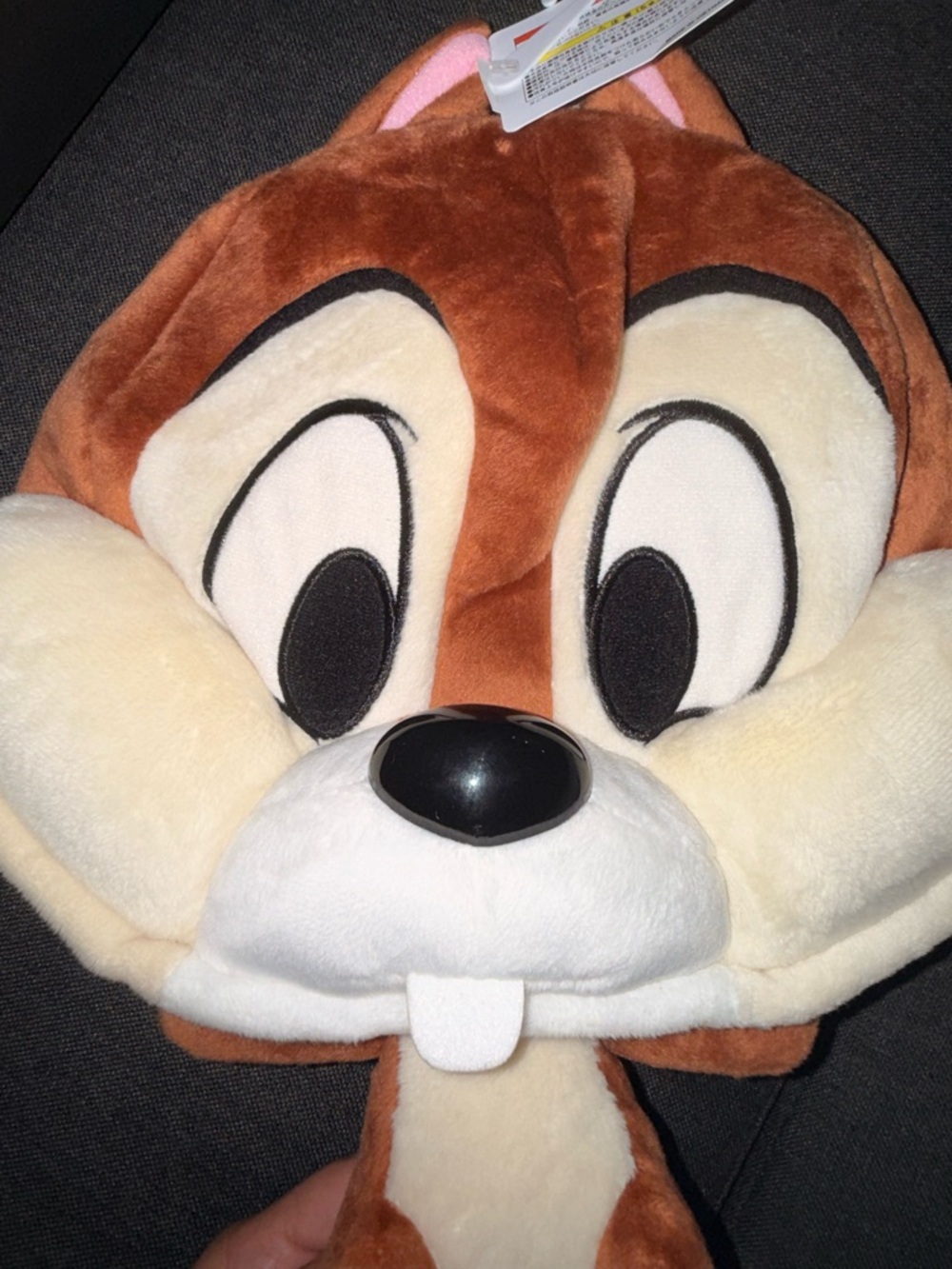 Disney Chip and Dale Hat Japan Tokyo